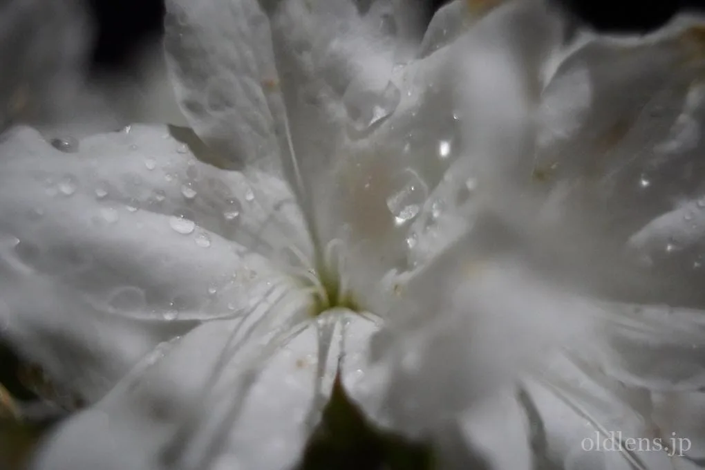 PENTACON 29mm f/2.8 ［オールドレンズ/バブルボケ］ PENTACON auto MC 29mm F2.8 M42 Review作例 クセ玉おすすめ広角