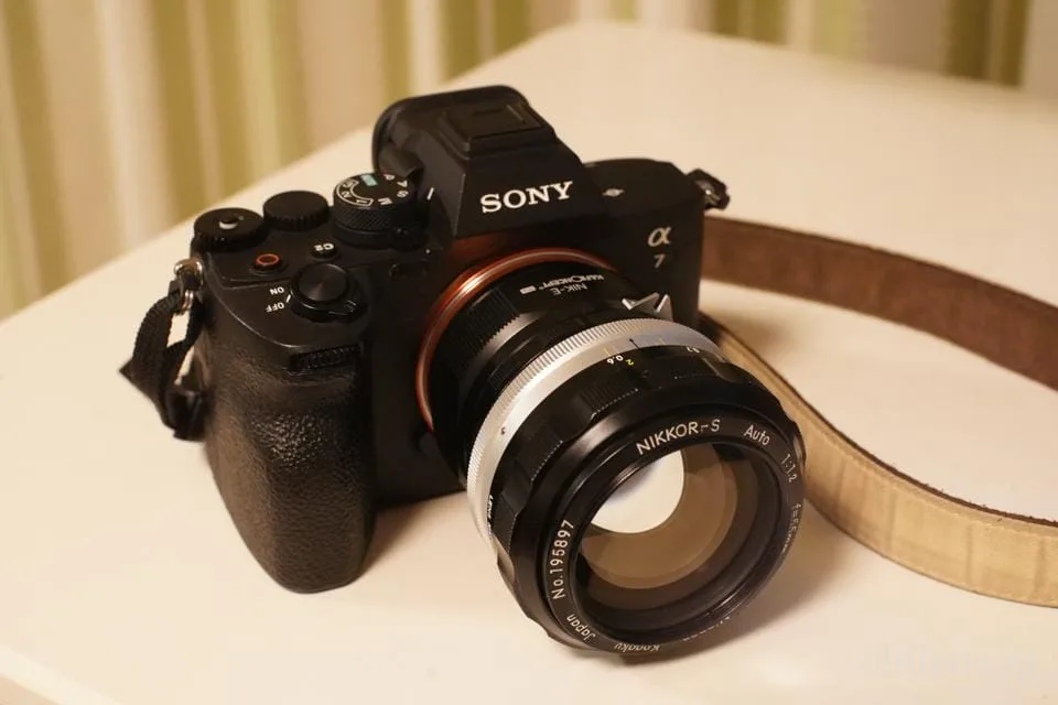 NIKON NIKKOR-S Auto 55mm F/1.2 レンズ @4531 Nikkor-S Auto 55mm F1.2レビュー作例 滲みクセ玉 エモい写真が撮れる