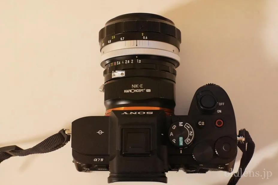 Nikkor-S Auto 55mm F1.2レビュー作例 滲みクセ玉 エモい写真が撮れる