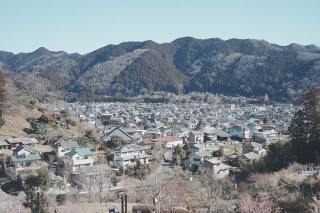 Leica Summicron M 50mm f2 1st 沈胴 作例あり Leica Summicron 50mm F2 レビュー作例 沈胴ズミクロン第一世代1st