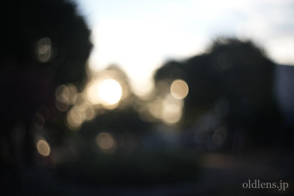 Kodak Ektar 47mm f2 作例 revew エモい写真が撮れるオールドレンズ 草花 植物 自然 風景 秋 紅葉 玉ボケシャボン 玉ボケ グルグルボケ 画像