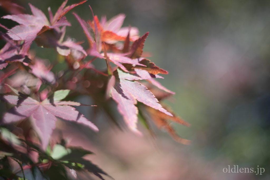 d*9様 99 Kodak Ektar 47mm f/2 レンズ 改 d*9様 99 Kodak Ektar 47mm f/2 レンズ 改