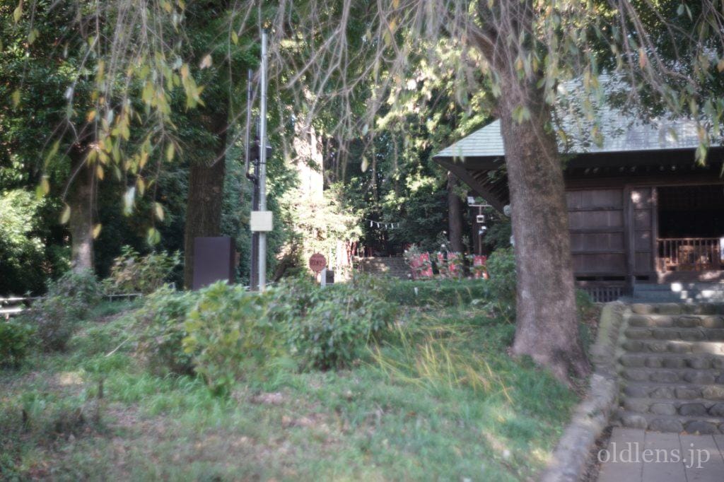 Kodak Ektar 47mm f2 作例 revew エモい写真が撮れるオールドレンズ 仏教 寺 自然 風景 画像