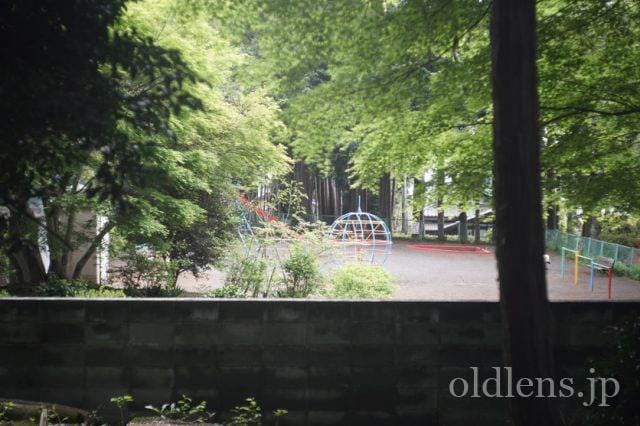 Carl Zeiss Jena Tessar 5cm f2.8 review 作例 公園 自然 風景 カールツァイスイエナ テッサー 50mm