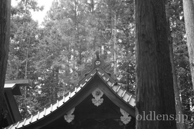 Carl Zeiss Jena Tessar 5cm f2.8 review 作例 神社 shrine 日本 japan カールツァイスイエナ テッサー 50mm