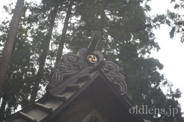 Carl Zeiss Jena Tessar 5cm f2.8 review 作例 神社 shrine 日本 japan カールツァイスイエナ テッサー 50mm