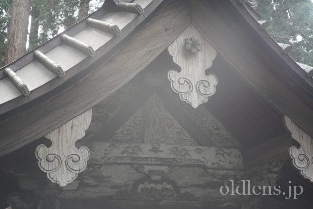 Carl Zeiss Jena Tessar 5cm f2.8 review 作例 神社 shrine 日本 japan カールツァイスイエナ テッサー 50mm