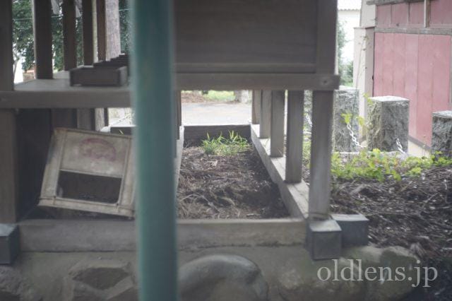 Carl Zeiss Jena Tessar 5cm f2.8 review 作例 神社 shrine 日本 japan カールツァイスイエナ テッサー 50mm