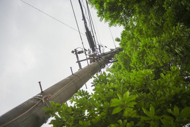 Konica Hexanon AR 28mm f3.5 Lens review作例 木と電柱