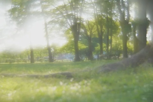 smc PENTAX SOFT 85mm f2.2 レビュー作例 ペンタックスの銘玉 ソフト