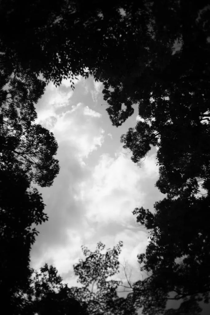 Summaron 35mm f2.8 レビュー作例 描写の特徴 ライカMマウント 銘玉