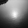 Leitz Summicron 35mm f2-8枚玉 作例