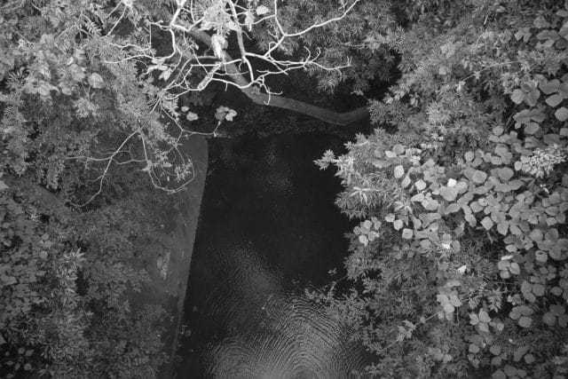 Summaron 35mm f3.5 前期 L 作例