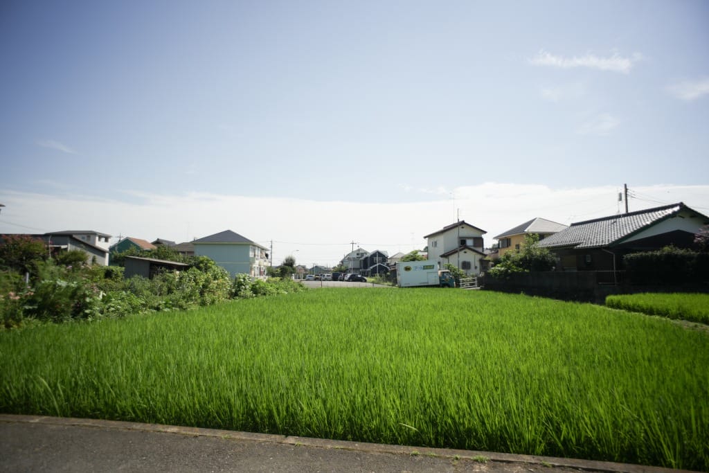 オールドレンズ超広角20mm-21mmおすすめ4本 神オールドレンズ銘玉