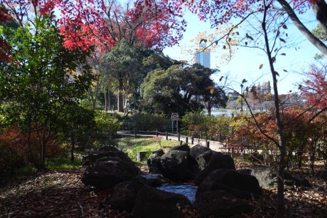 Olympus OM System G.Zuiko 35mm f2.8 オールドレンズ作例