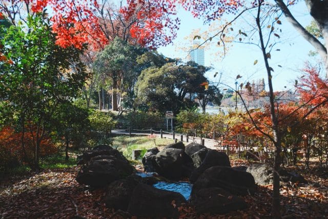 Olympus OM System G.Zuiko 35mm f2.8 オールドレンズ作例