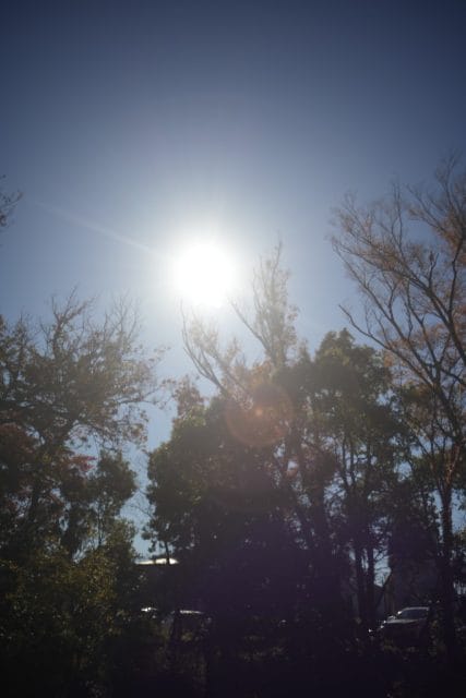 Olympus OM System G.Zuiko 35mm f2.8 オールドレンズ作例