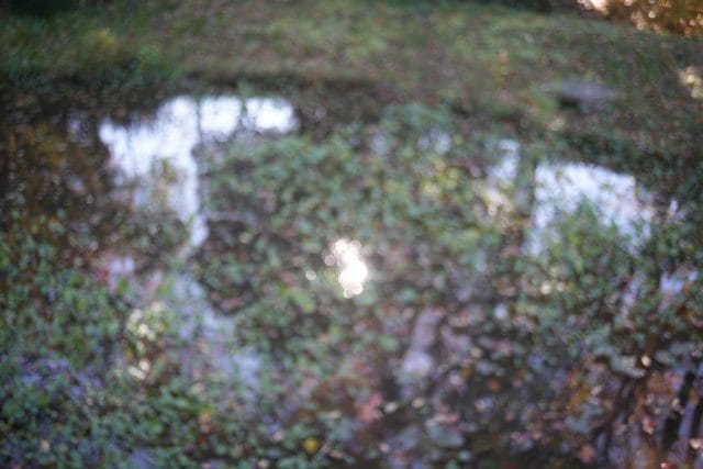 Olympus OM System G.Zuiko 35mm f2.8 オールドレンズ作例