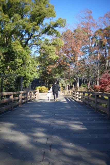 Olympus OM System G.Zuiko 35mm f2.8 オールドレンズ作例