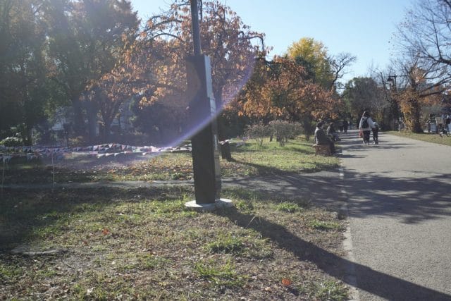 Olympus OM System G.Zuiko 35mm f2.8 オールドレンズ作例