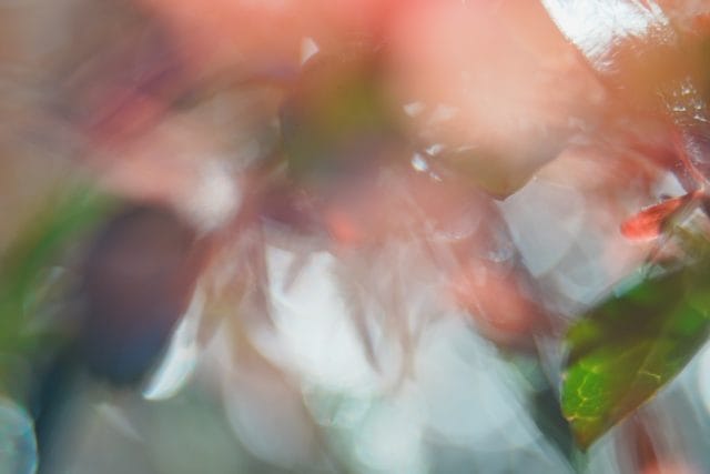 Olympus OM System G.Zuiko 35mm f2.8 オールドレンズ作例