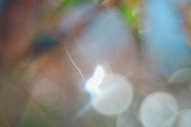 Olympus OM System G.Zuiko 35mm f2.8 オールドレンズ作例