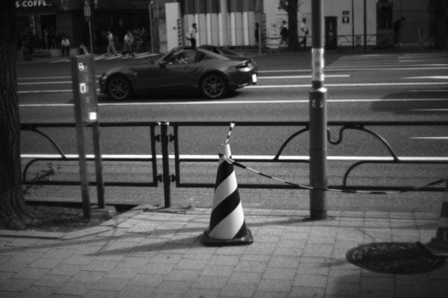 Leica M Monochrom typ246 作例 Light Lens Lab 50mm f1.5 Z21