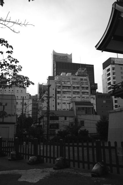 Leica M Monochrom typ246 作例 Leitz Elmar 35mm f3.5