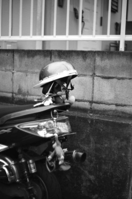 Leica M Monochrom typ246 作例 Light Lens Lab 50mm f1.5 Z21