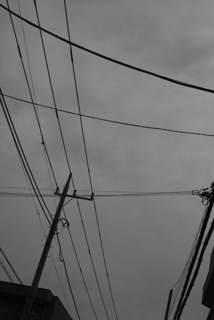 Leica M Monochrom typ246 作例 Light Lens Lab 50mm f1.5 Z21