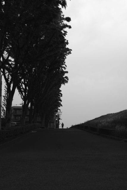 Leica M Monochrom typ246 作例 Light Lens Lab 50mm f1.5 Z21