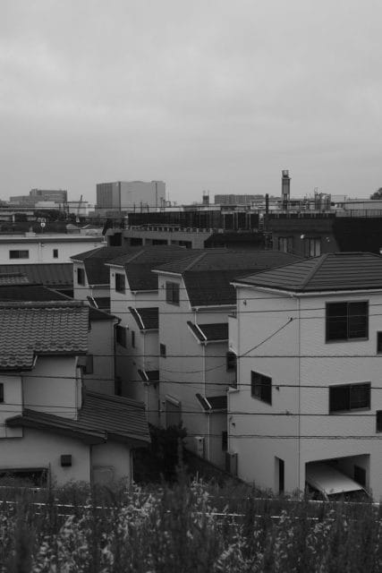 Leica M Monochrom typ246 作例 Light Lens Lab 50mm f1.5 Z21