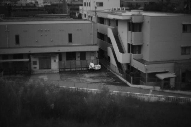 Leica M Monochrom typ246 作例 Light Lens Lab 50mm f1.5 Z21