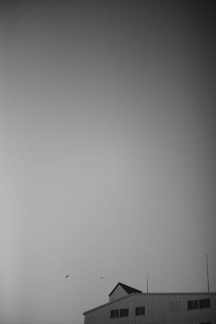 Leica M Monochrom typ246 作例 Light Lens Lab 50mm f1.5 Z21