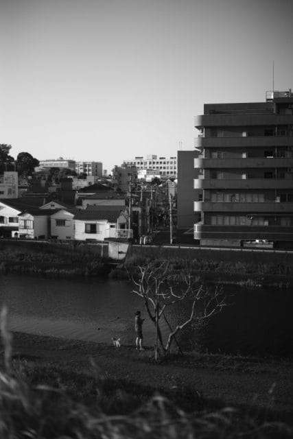 Leica M Monochrom typ246 作例 Light Lens Lab 50mm f1.5 Z21