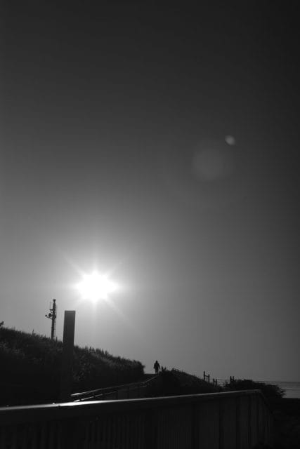 Leica M Monochrom typ246 作例 Light Lens Lab 50mm f1.5 Z21