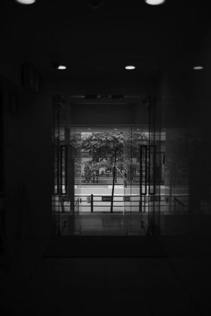 Summicron-M 35mm f2 ズミクロン 7枚玉 作例