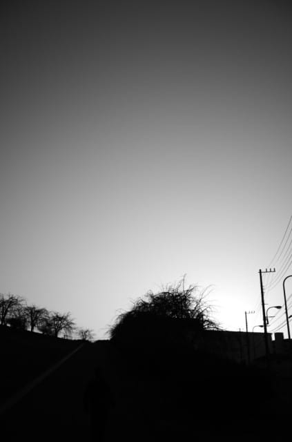 Summaron 35mm f3.5 後期型 作例