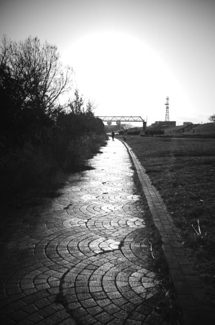 Leitz Summaron 35mm f3.5 Leica M10 monochrom